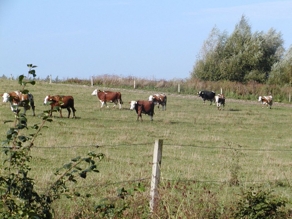 P9140054