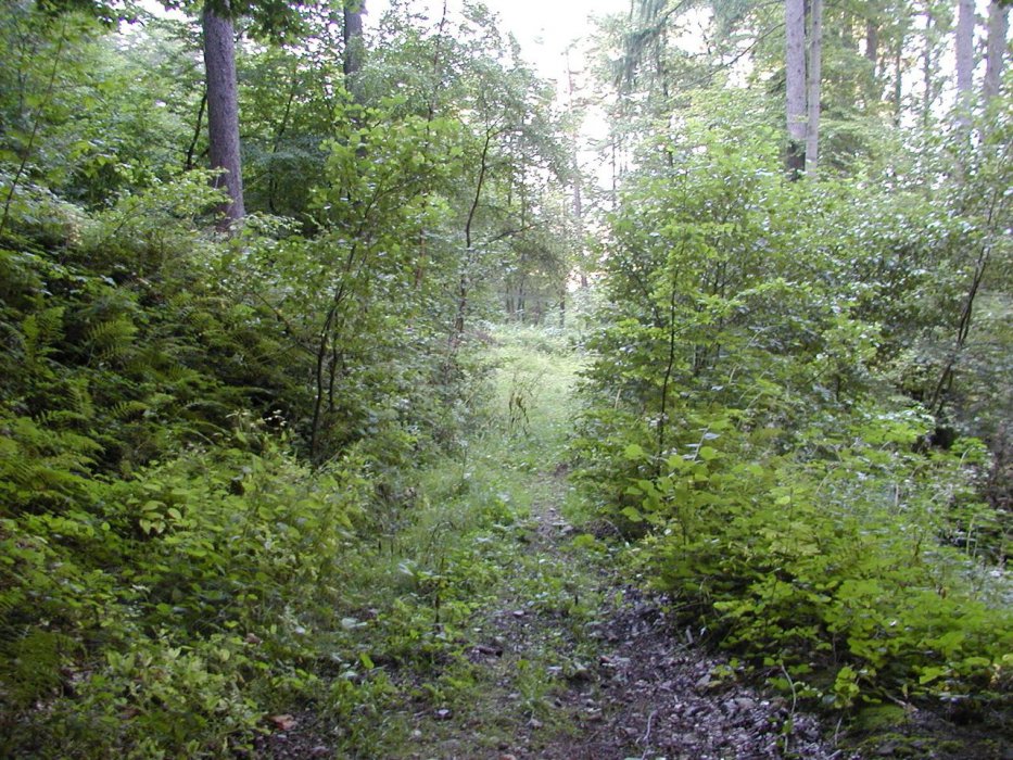 P9140066