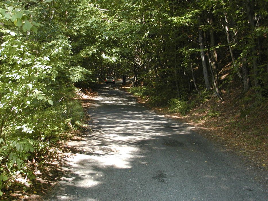 P9140068