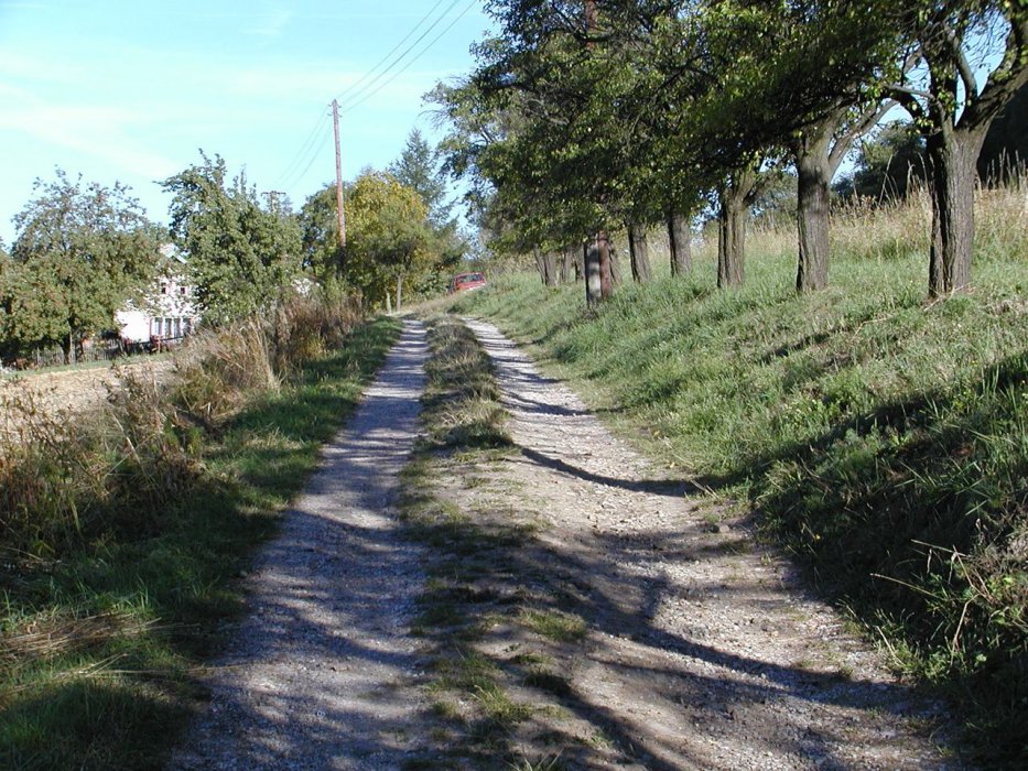 P9170091