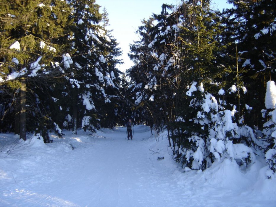 herlikovice2005-31