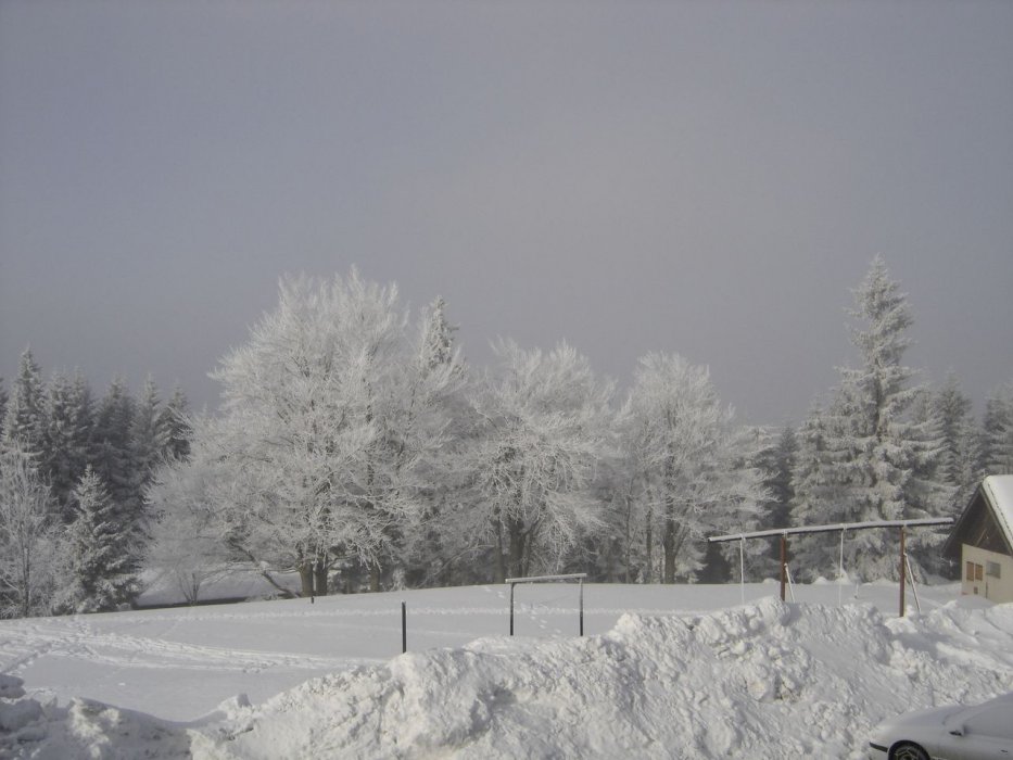 herlikovice2005-53