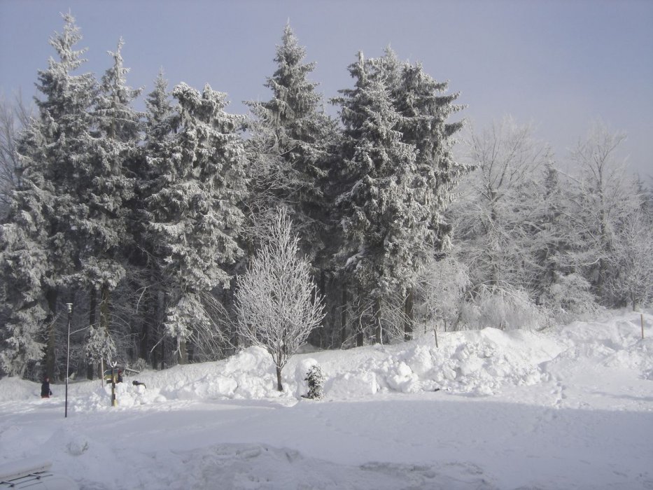 herlikovice2005-54
