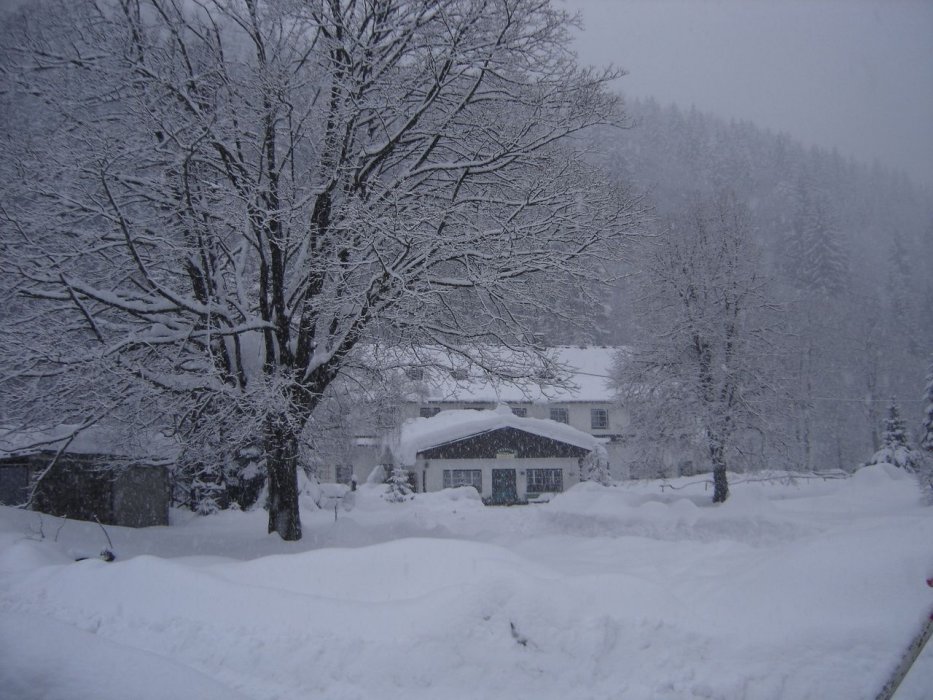 herlikovice2005-58
