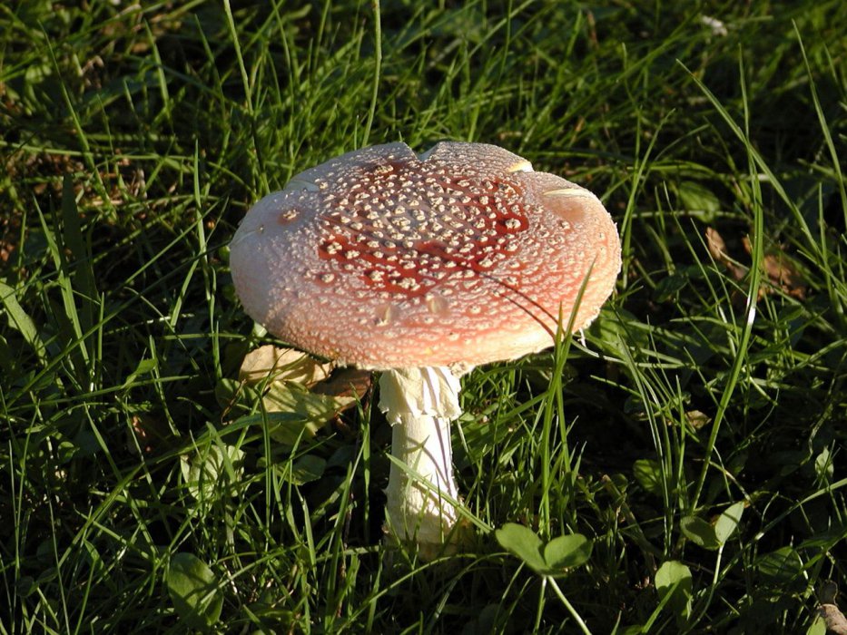 P9121907