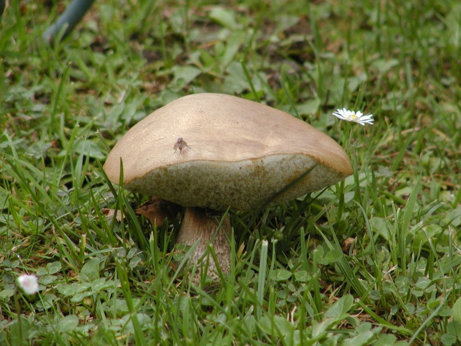 P9123644