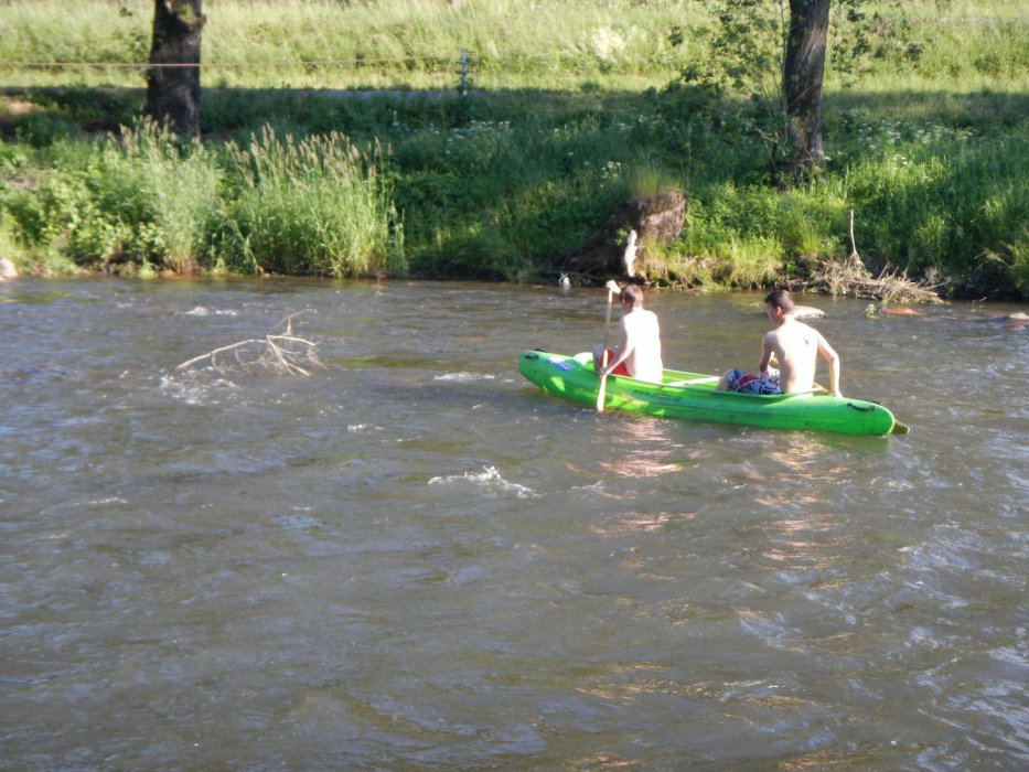 DSCN0356