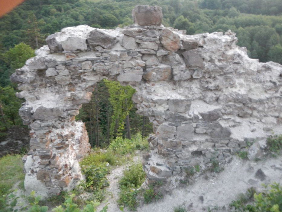 DSCN0506