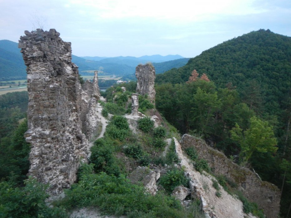 DSCN0509