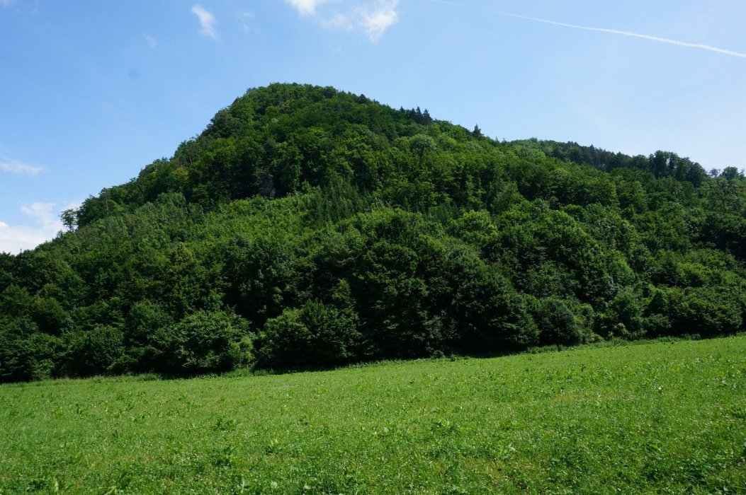 DSC02026