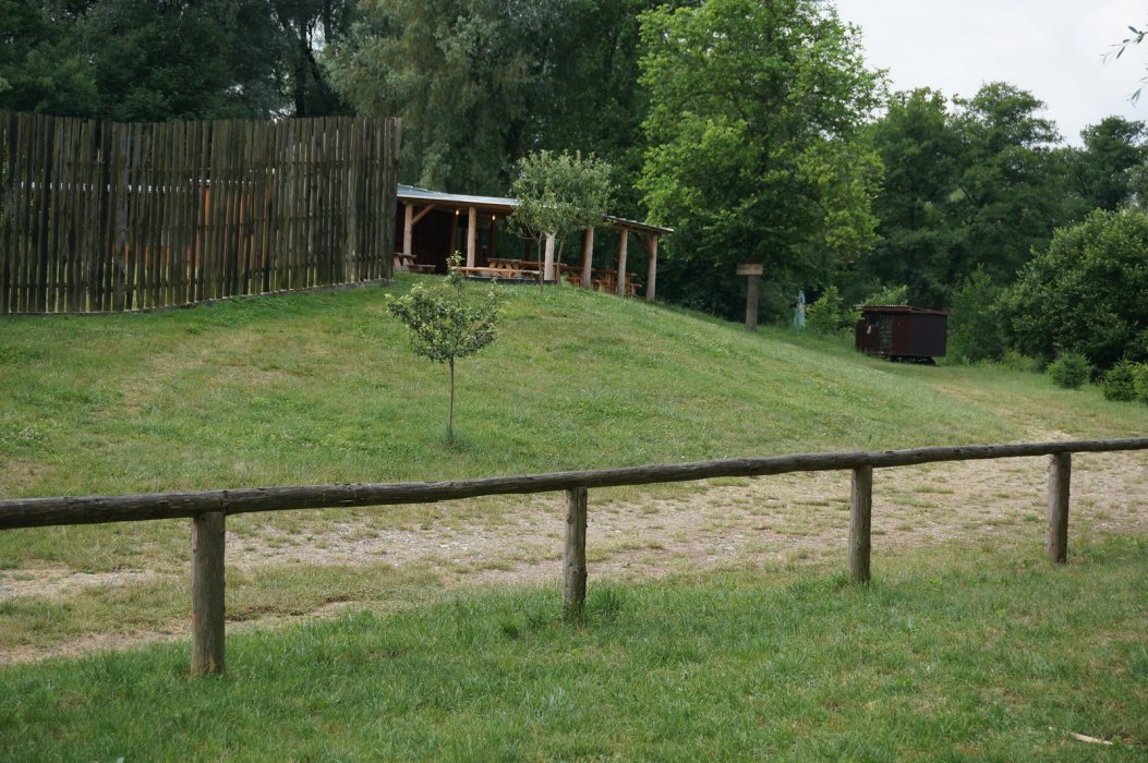 DSC02093