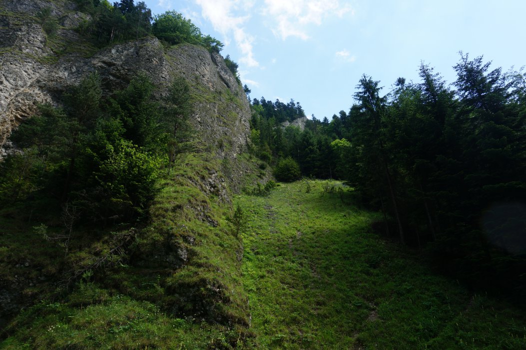 dsc08858