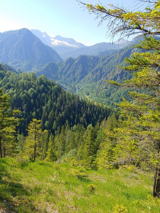 2019 Salza Rakousko