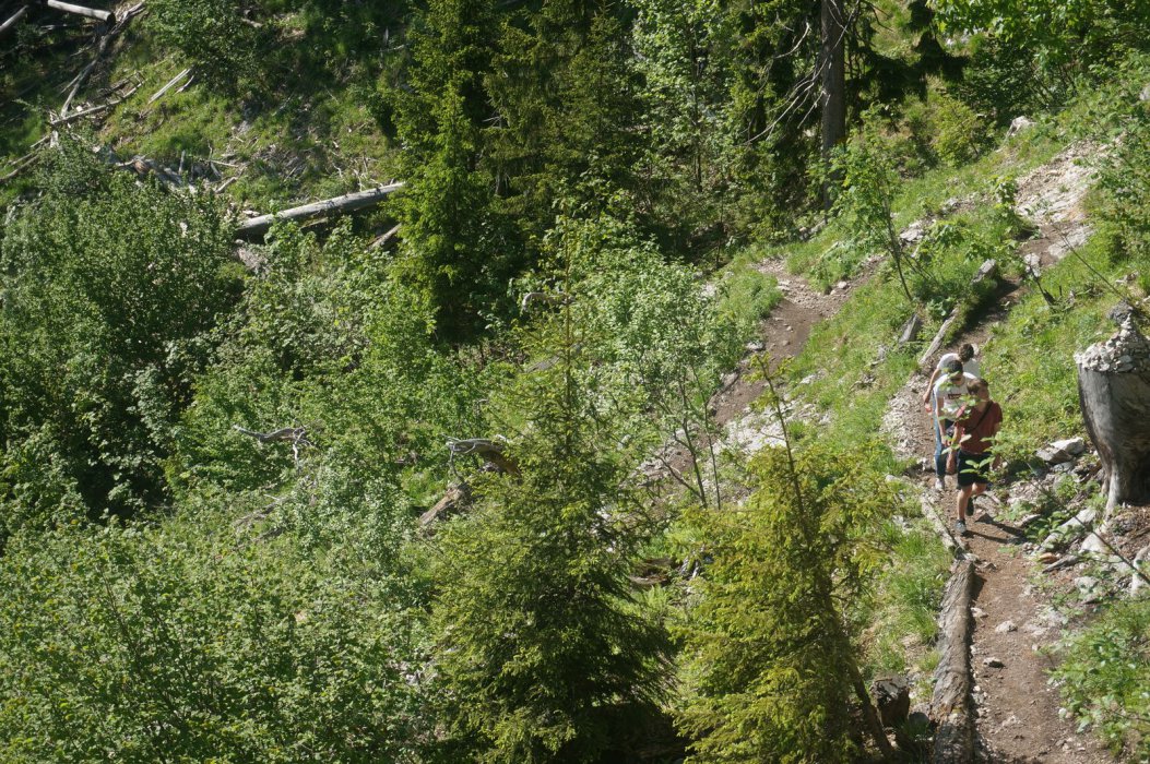 2019 Salza Rakousko