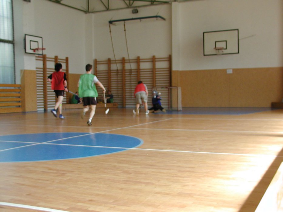 P5020066