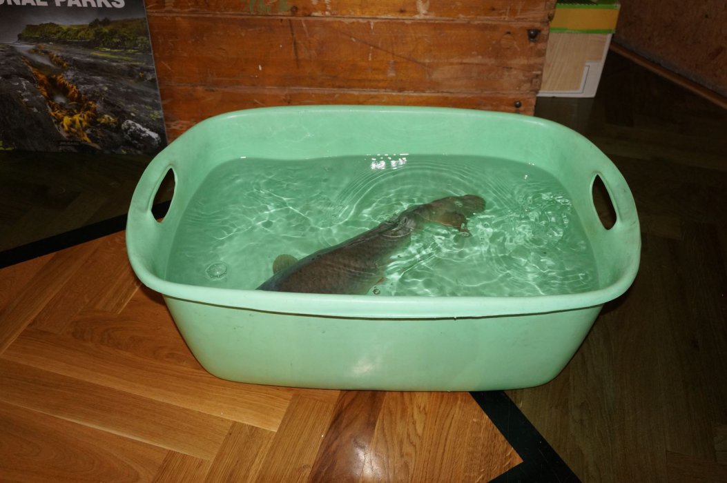 DSC04186