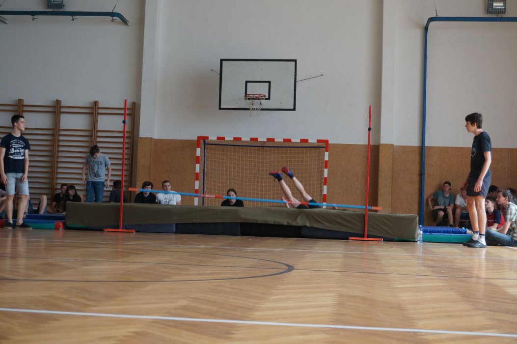 2019 Zlatá laťka