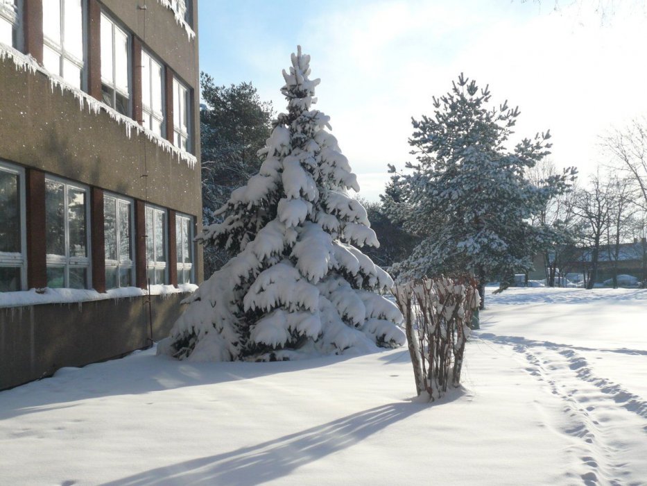 budova6
