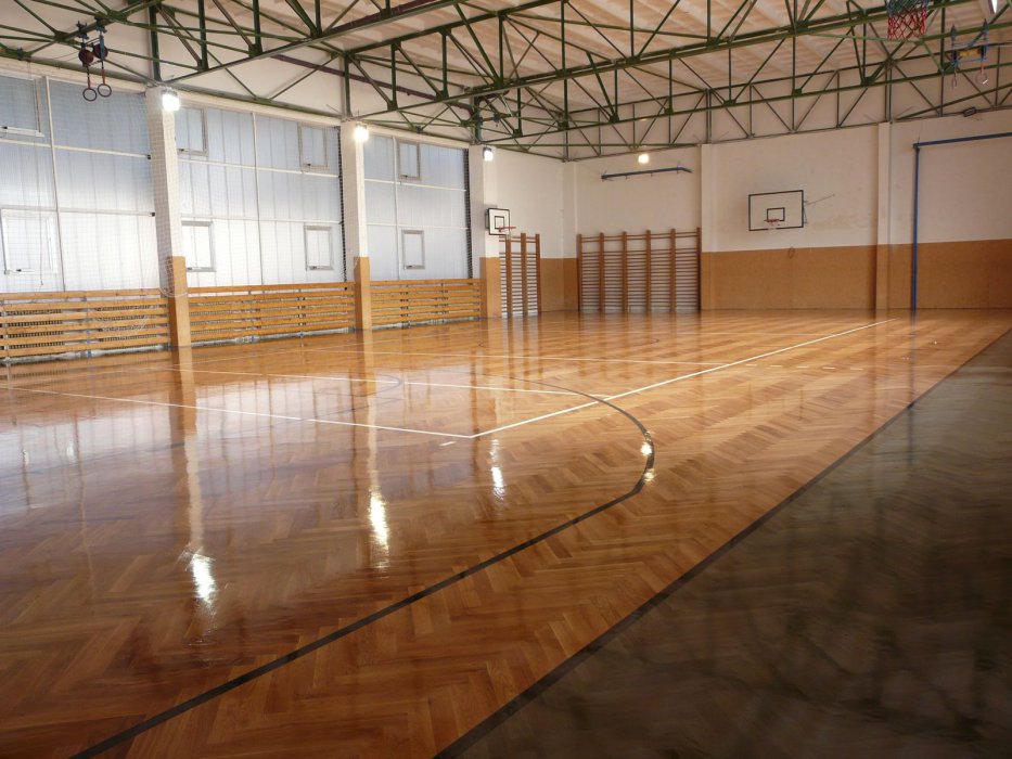 Tělocvična